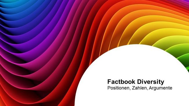 Zu sehen ist das Titelbild des Factbooks. Im Hintergrund sind bunte Wellen, vorne steht Factbook Diversity.